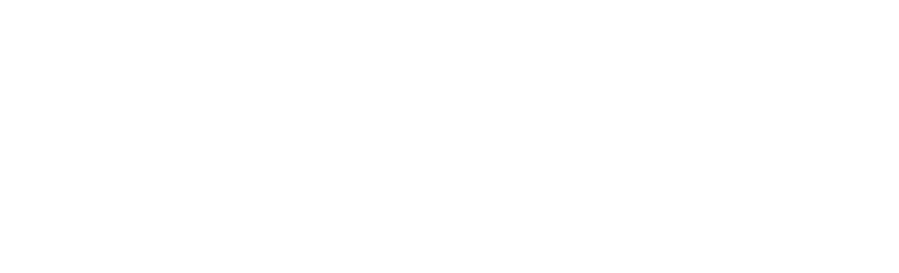 Vocha Logo
